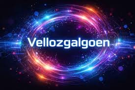 Understanding-Vellozgalgoen