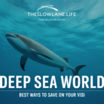deep sea world