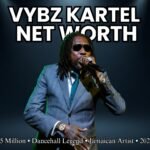 vybz kartel net worth
