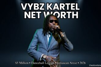vybz kartel net worth