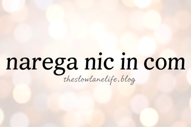 narega nic in com