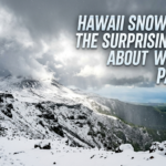 hawaii snow storm
