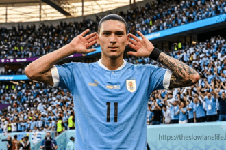 Darwin Nunez Net Worth